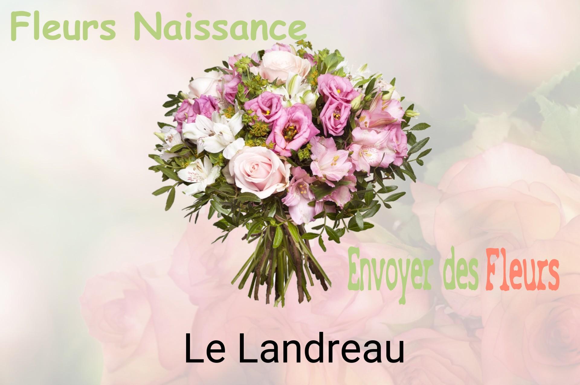 Bouquet de fleurs de naissance livré à Le Landreau